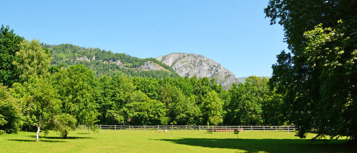Le Parc - Chambre hôte les Forges d'Enfalits en Ariège Pyrénées Tarascon